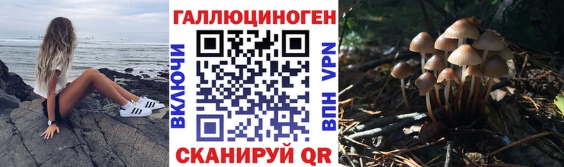 Купить  Иноземцево  Псилоцибиновые грибы GOLDEN TEACHER 