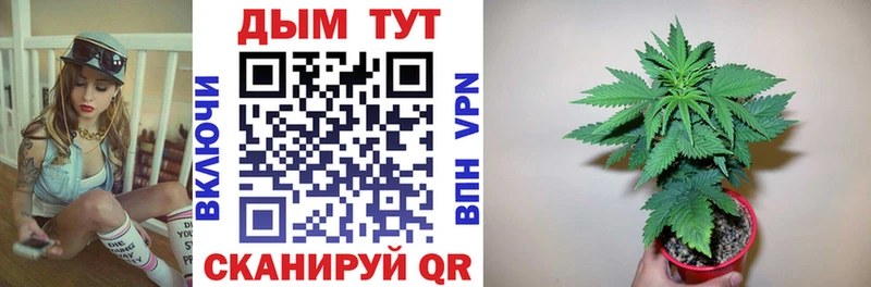 Канабис White Widow  Купить  Иноземцево 